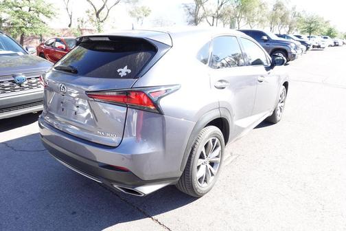 Nebula Gray Pearl 2021 Lexus NX 300 F Sport