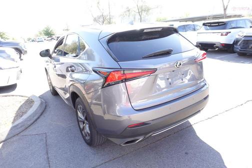 Nebula Gray Pearl 2021 Lexus NX 300 F Sport