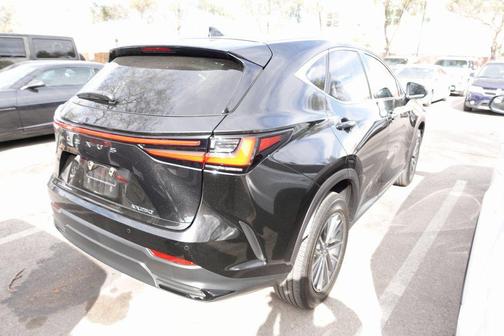 2025 Lexus NX 250 Base