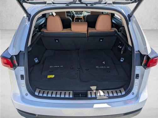 Eminent White Pearl 2020 Lexus NX 300 Base