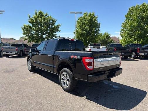 Black Metallic 2021 Ford F-150 Platinum