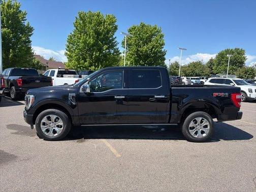 Black Metallic 2021 Ford F-150 Platinum