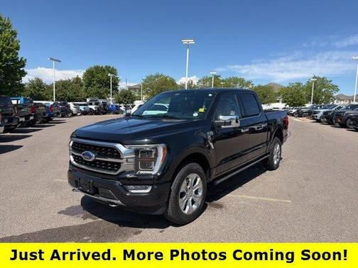 Black Metallic 2021 Ford F-150 Platinum