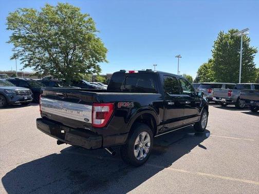 Black Metallic 2021 Ford F-150 Platinum