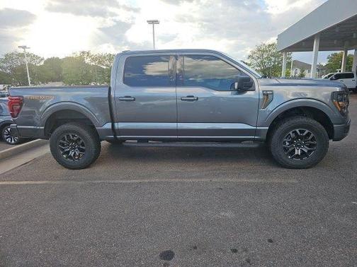 Gray Metallic 2024 Ford F-150 Tremor
