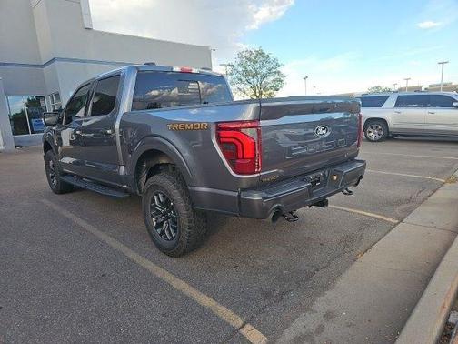 Gray Metallic 2024 Ford F-150 Tremor