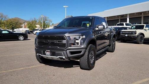 Magnetic Metallic 2020 Ford F-150 Raptor