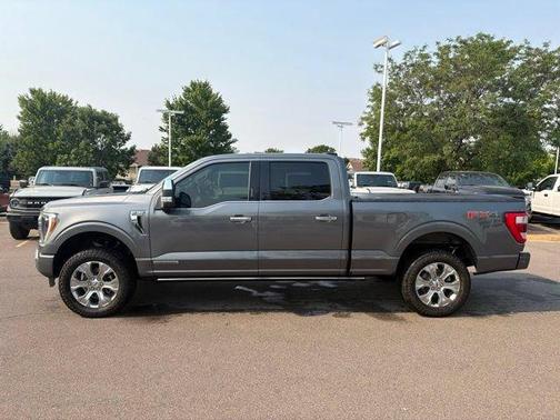 Gray Metallic 2021 Ford F-150 Platinum