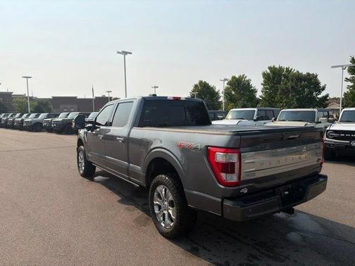 Gray Metallic 2021 Ford F-150 Platinum
