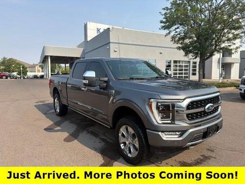Gray Metallic 2021 Ford F-150 Platinum