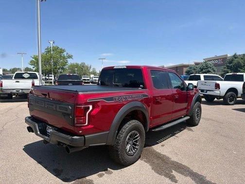 Ruby Red Metallic 2019 Ford F-150 Raptor