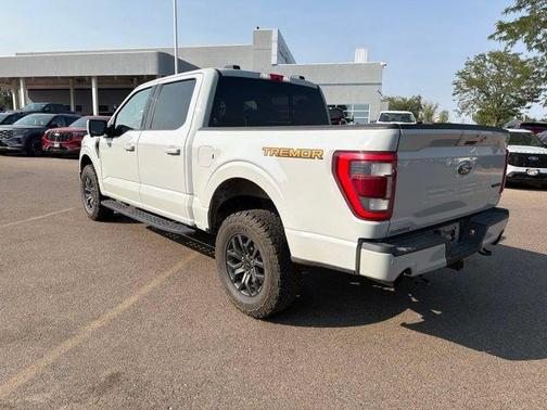 Avalanche 2023 Ford F-150 Tremor
