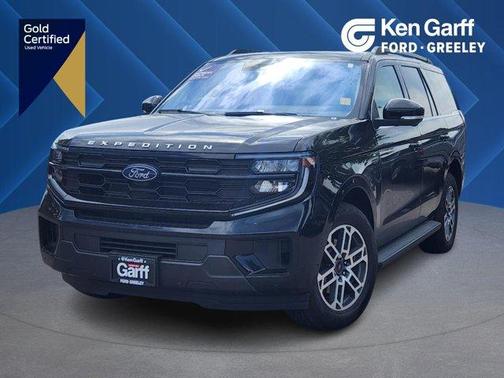 Black Metallic 2025 Ford Expedition Active