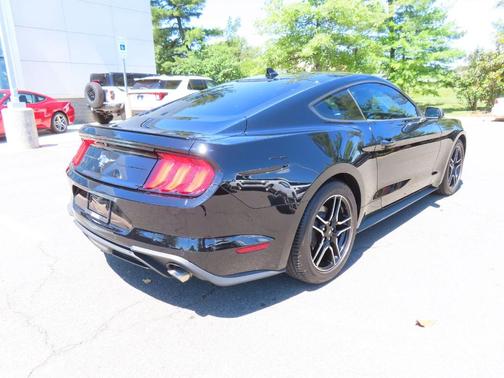 Shadow Black 2023 Ford Mustang EcoBoost Premium