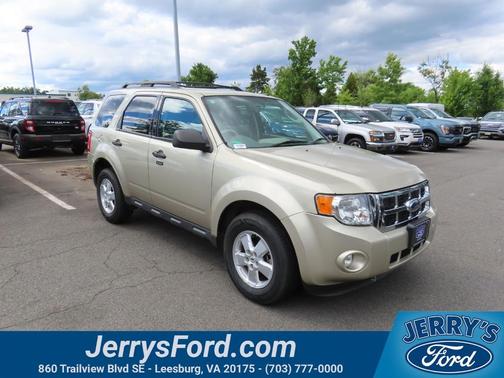Gold Leaf Metallic 2010 Ford Escape XLT