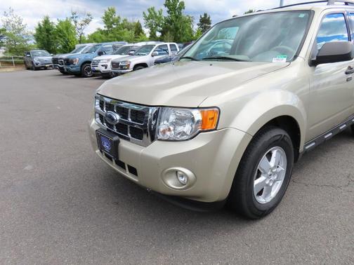 Gold Leaf Metallic 2010 Ford Escape XLT