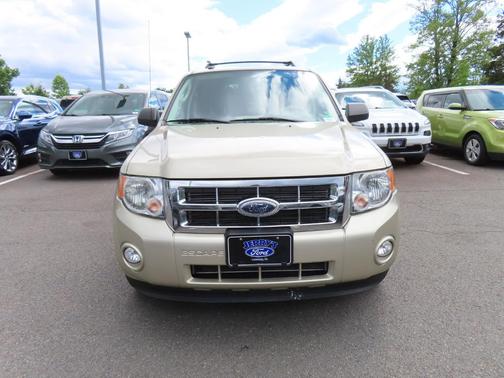 Gold Leaf Metallic 2010 Ford Escape XLT
