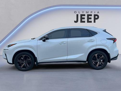 2020 Lexus NX 300 Base