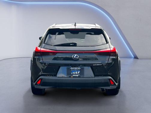 2021 Lexus UX 250h Luxury