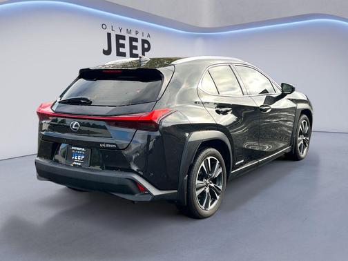 2021 Lexus UX 250h Luxury