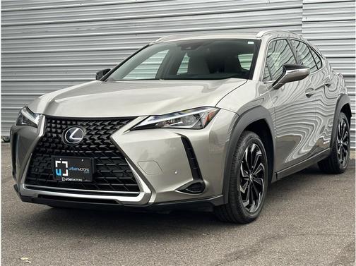 2020 Lexus UX 250h F Sport