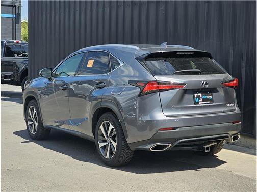 Nebula Gray Pearl 2019 Lexus NX 300 F Sport