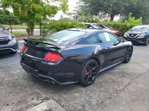 Shadow Black 2019 Ford Mustang GT Premium
