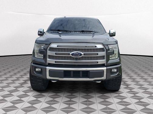 Magnetic 2017 Ford F-150 Platinum