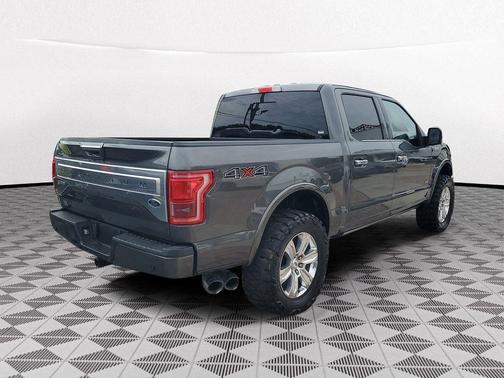 Magnetic 2017 Ford F-150 Platinum