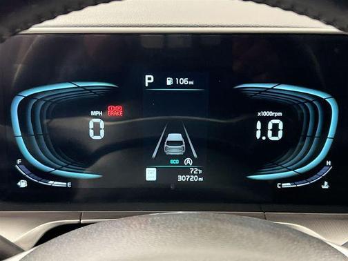 Panthera Metal 2025 Kia Telluride S