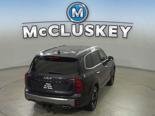 Panthera Metal 2025 Kia Telluride S