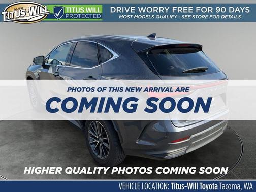 Cloudburst Gray 2024 Lexus NX 350h Premium