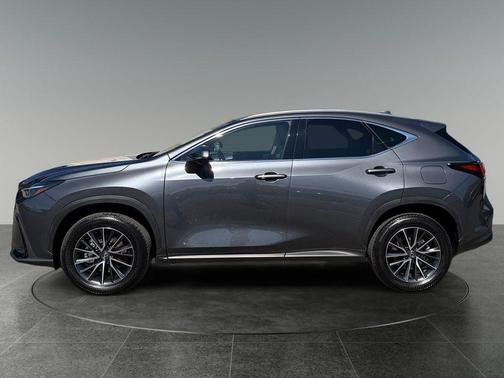 Cloudburst Gray 2024 Lexus NX 350h Premium