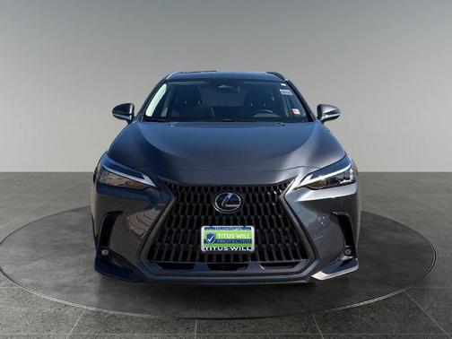Cloudburst Gray 2024 Lexus NX 350h Premium