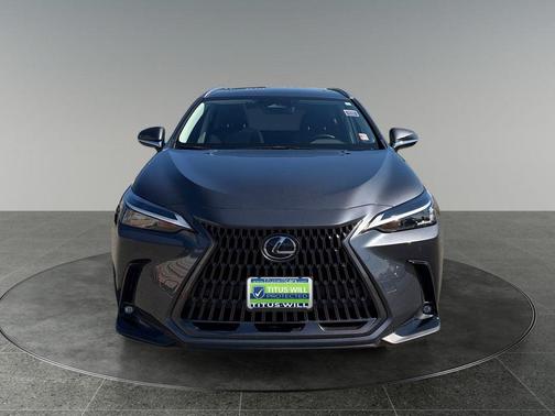 Cloudburst Gray 2024 Lexus NX 350h Premium