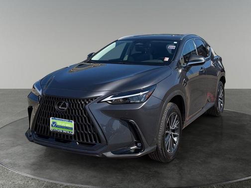 Cloudburst Gray 2024 Lexus NX 350h Premium