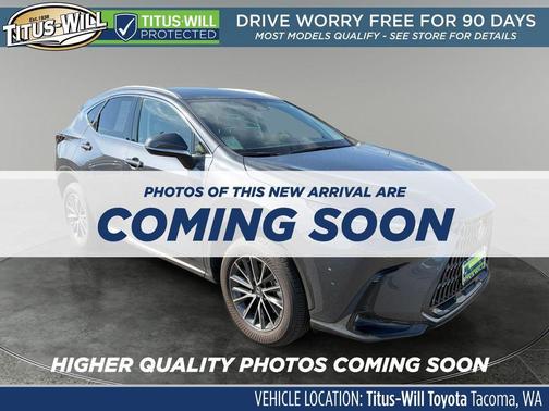 Cloudburst Gray 2024 Lexus NX 350h Premium