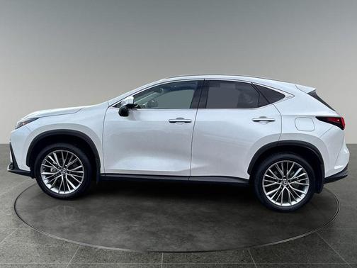 Eminent White Pearl 2025 Lexus NX 350 Premium