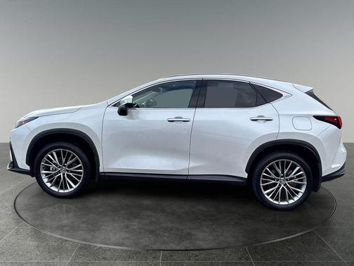 White Pearl 2025 Lexus NX 350 Premium