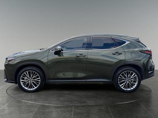 Nori Green Pearl 2024 Lexus NX 350h Luxury
