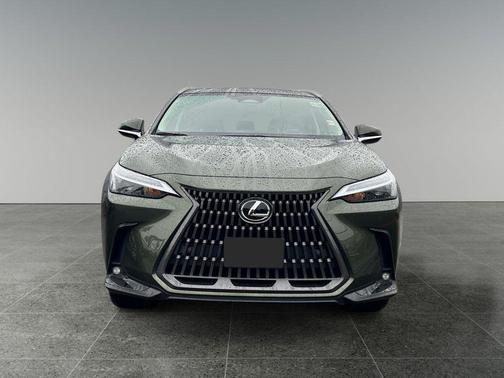 2025 Lexus NX 350h Premium