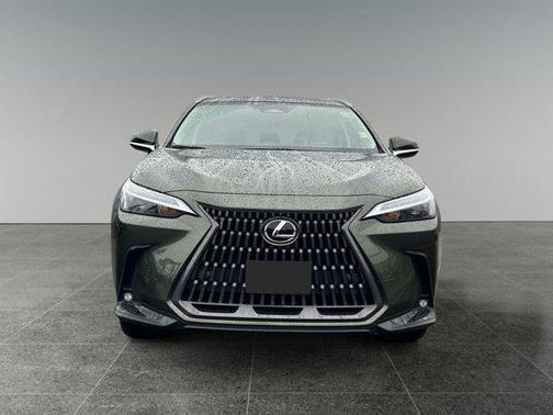 2025 Lexus NX 350h Premium