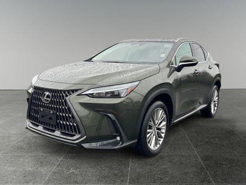 2025 Lexus NX 350h Premium