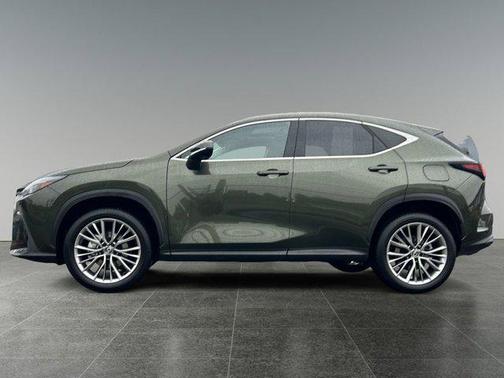 2025 Lexus NX 350h Premium