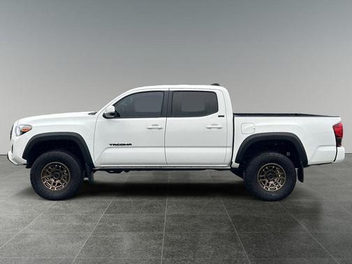 Ice Cap 2023 Toyota Tacoma Trail Edition