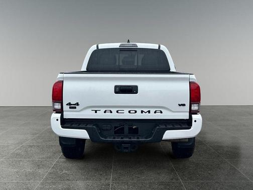 Ice Cap 2023 Toyota Tacoma Trail Edition