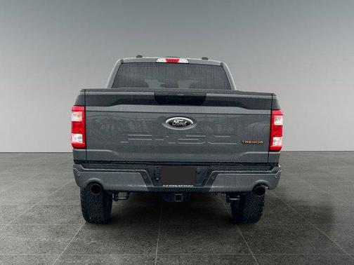 2021 Ford F-150 Tremor