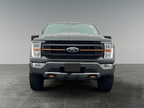 2021 Ford F-150 Tremor