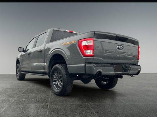 2021 Ford F-150 Tremor