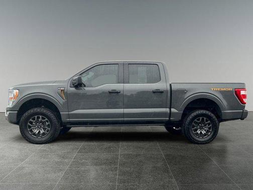 2021 Ford F-150 Tremor